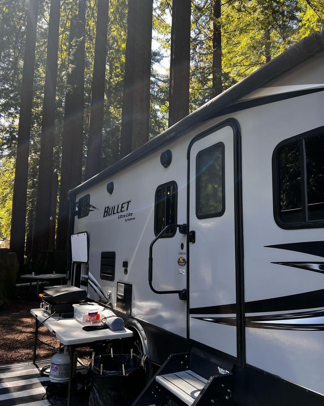 Camping in the woods